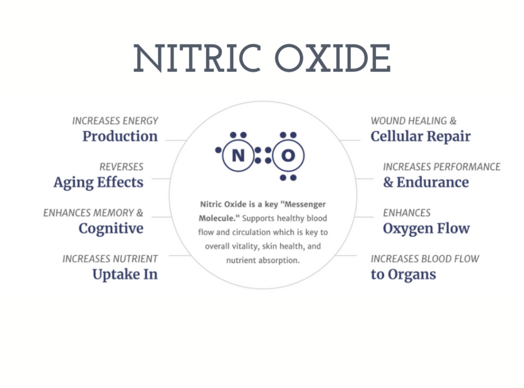 biological-effects-of-nitric-oxide-and-its-role